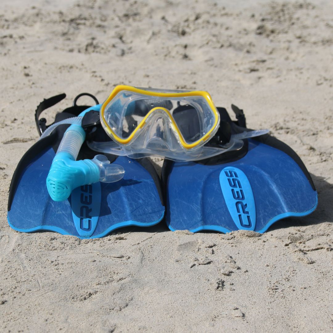 Snorkel Gear